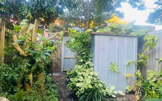 8 Chelmsford Street, Camperdown NSW 2050