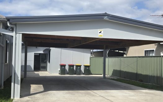 Larra Street, Yennora, NSW 2161